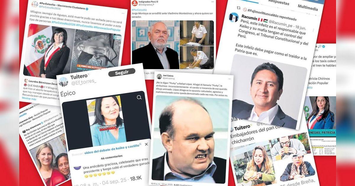 Colectivos digitales piden voto con sanción – El reportero andino