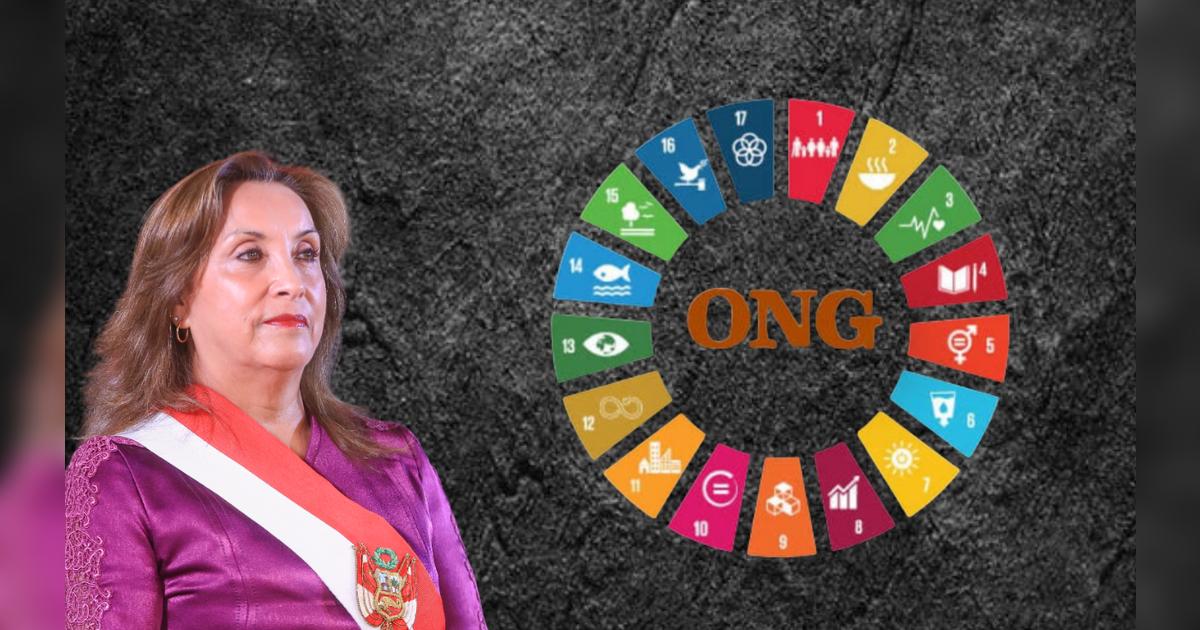 Gobierno de Dina Boluarte promulga reglamento – El reportero andino
