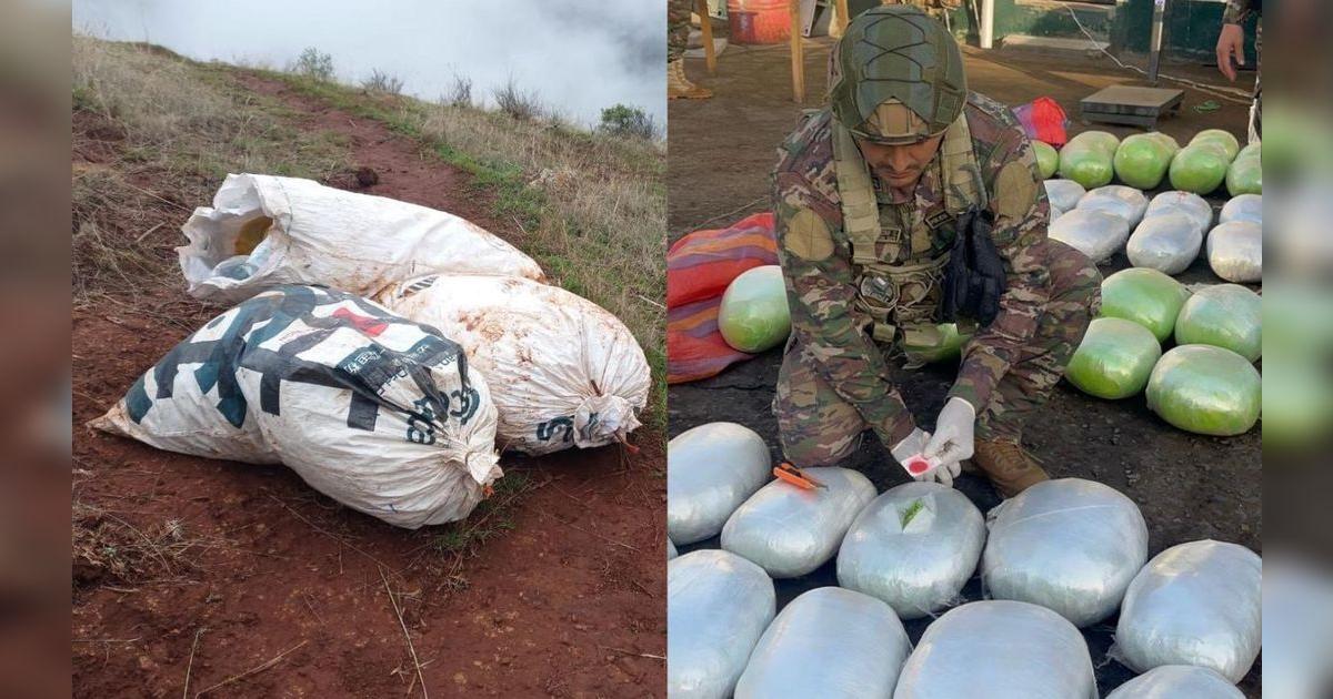 Más de S/1 millón en marihuana incautada en La Libertad: tonelada de ...