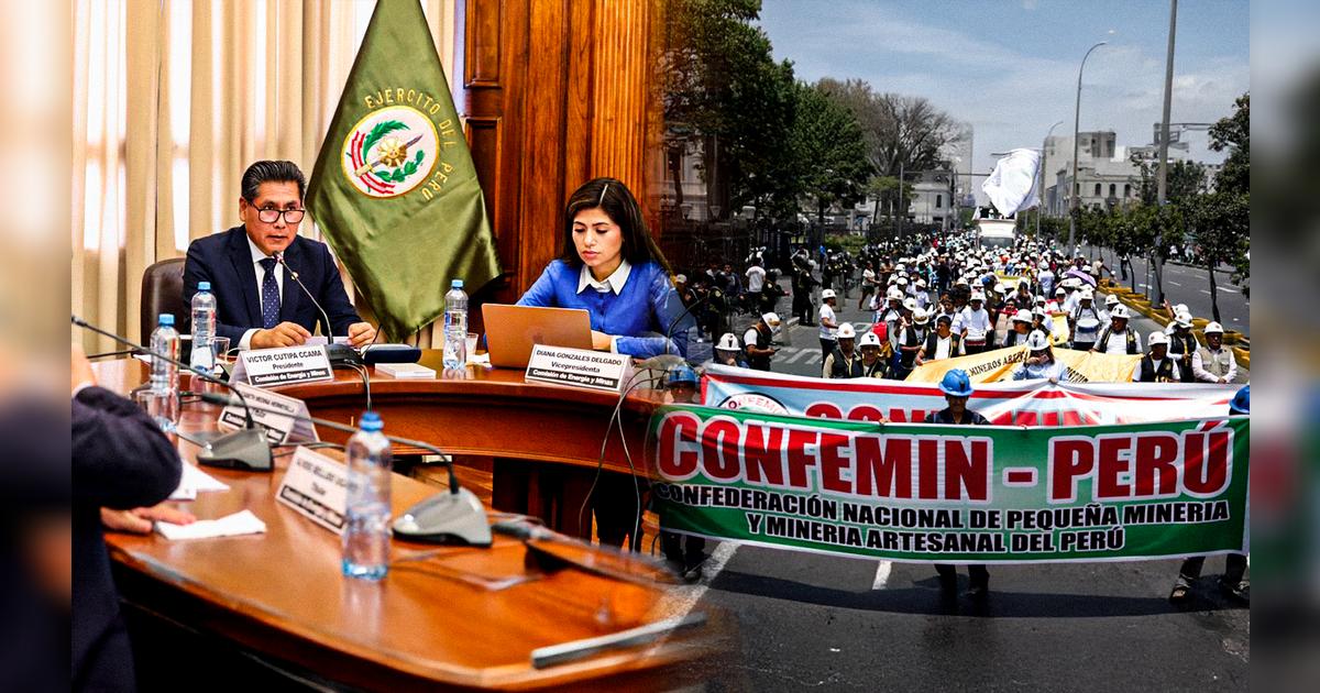 Reinfo: avanza en el Congreso dictamen para ampliar registro en favor ...