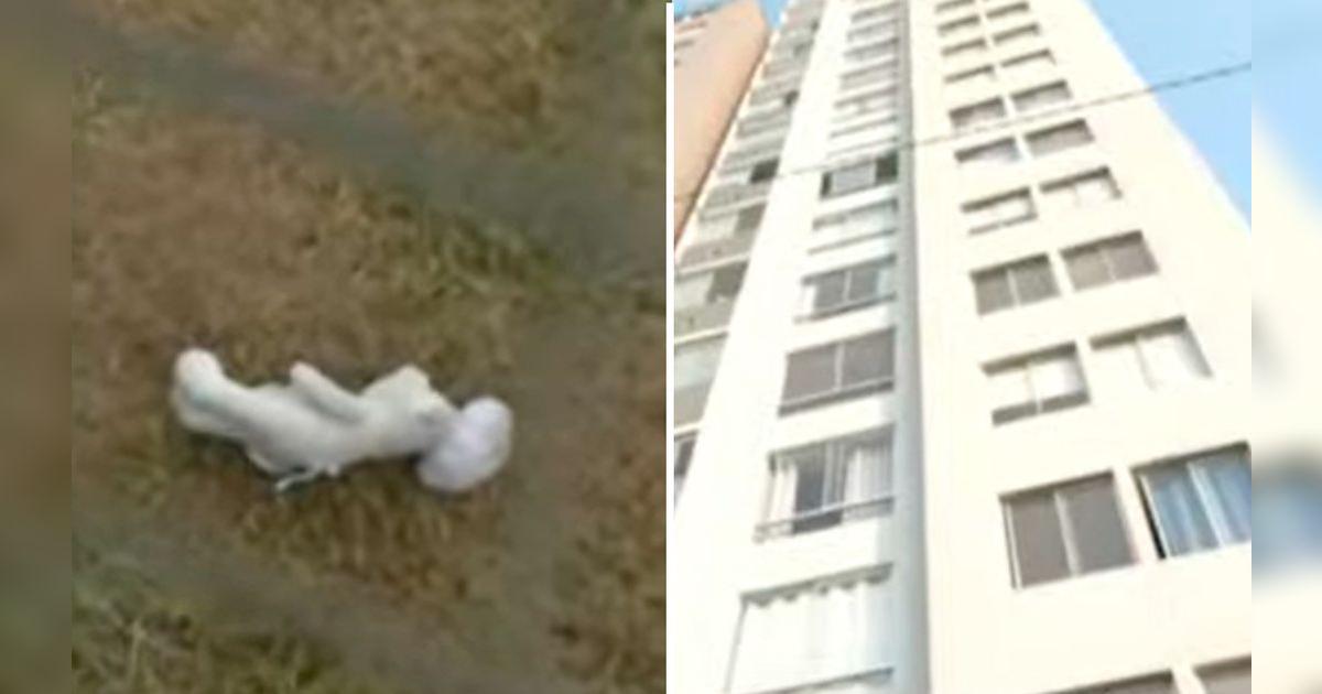 Menor de un año cayó desde un octavo piso al intentar alcanzar su ...