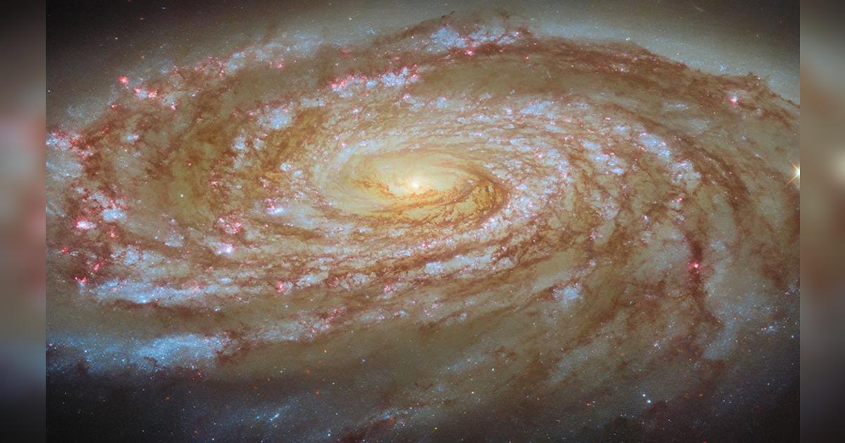 El telescopio Hubble captura una galaxia siendo despojada lentamente de ...