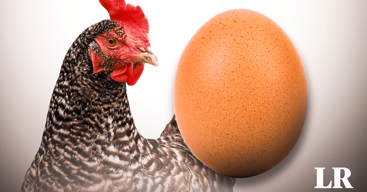 ¿el Huevo O La Gallina ¿qué Fue Primero La Ciencia Al Fin Respondería