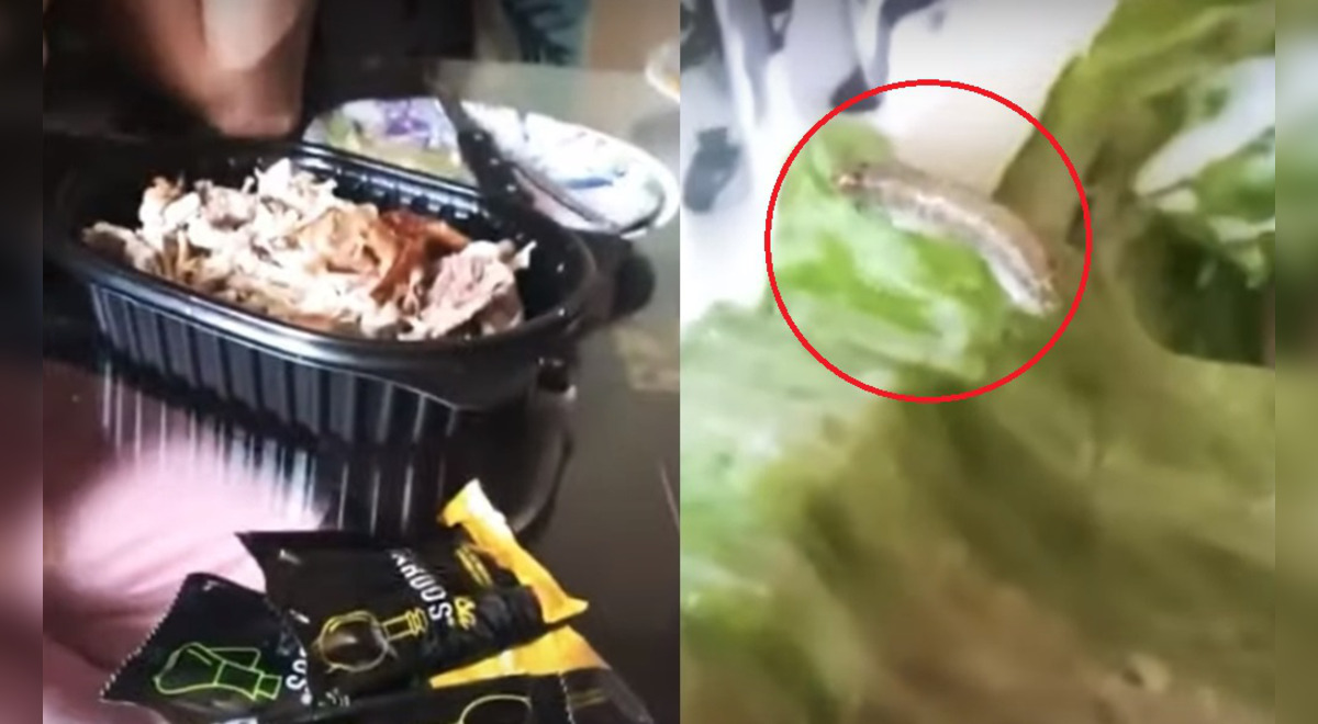 Coronavirus en Perú: Usuario denuncia que pidió pollo a la brasa y halló  gusano en su ensalada | VIDEO | Sociedad | La República