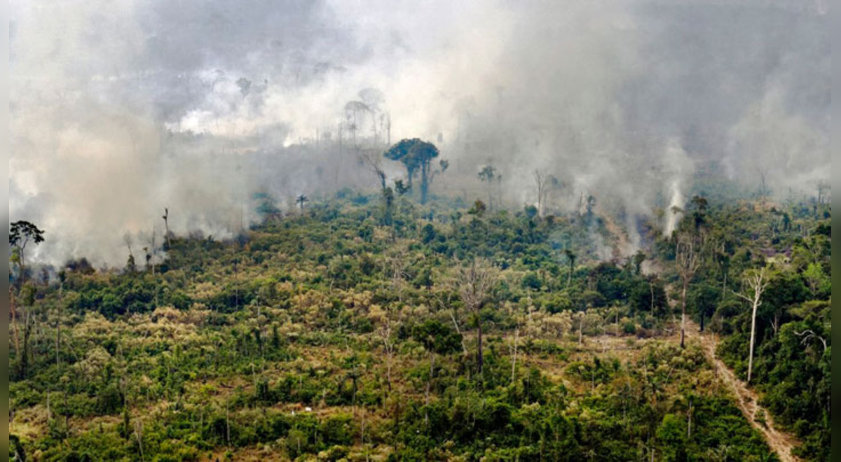 Últimas Noticias Incendio Amazonia Hoy 26 De Agosto 2019 En Vivo La Selva Amazónica Continúa 