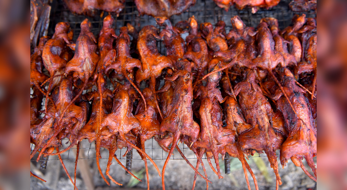 Animales: el pincho de rata, un aperitivo que gana popularidad en Camboya |  Asia