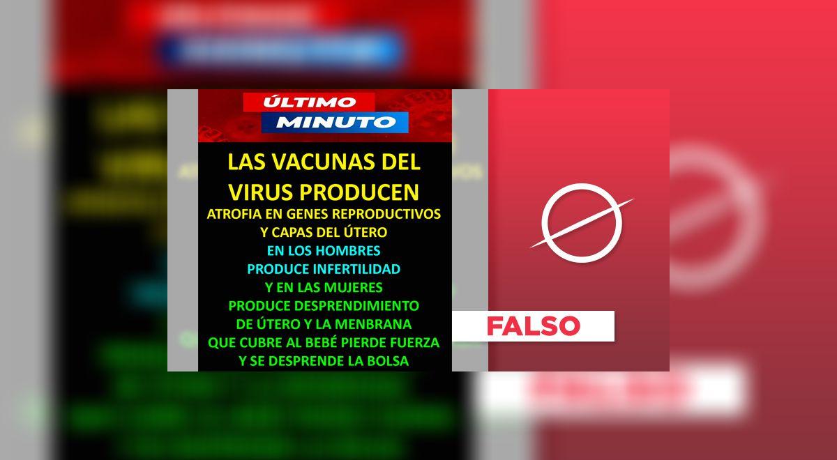 No, las vacunas contra la COVID19 no afectan la sincitina ni causan