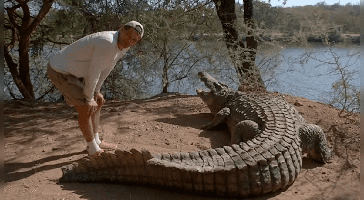 YouTube viral: Osado aventurero se acerca a feroz cocodrilo y reptil lo  sorprende con brutal ataque | Video | YT | Wild Frank | Animal Planet |  Africa | Tendencias | La República