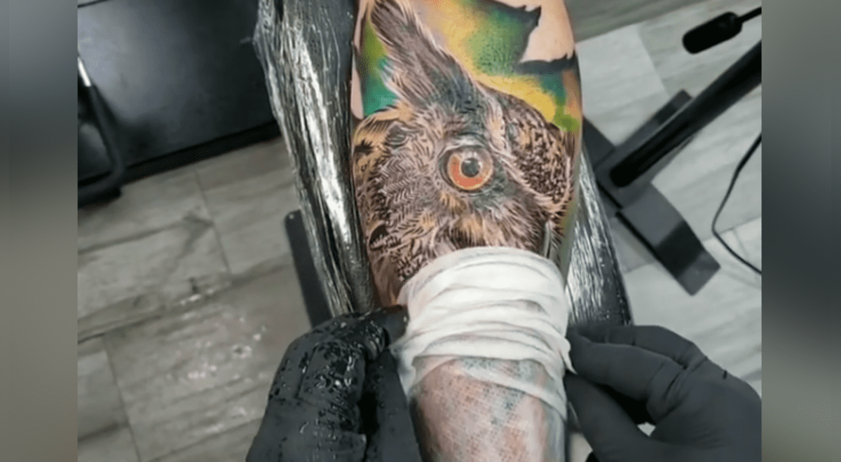YouTube viral: Hombre presume tatuaje 'ultra realista' de búho y miles  quedan impactados al ver el tattoo | Video | Viral | Yt | Insecto | México  | Mx | Estados Unidos | Tendencias | La República