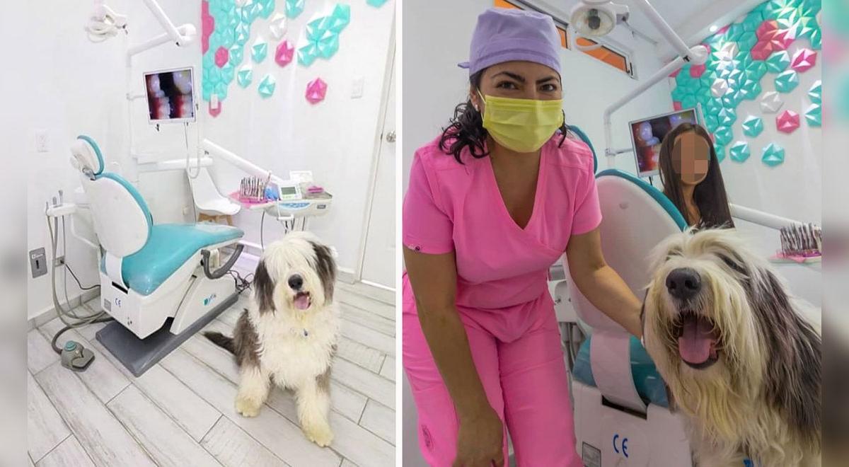Facebook viral dentista lleva su perro a su consultorio para que