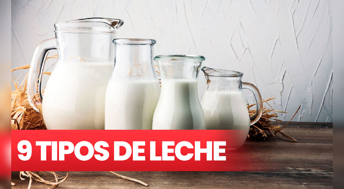 9 tipos de leche: ¿cuál debes usar para cocinar? | Gastronomía | La  República