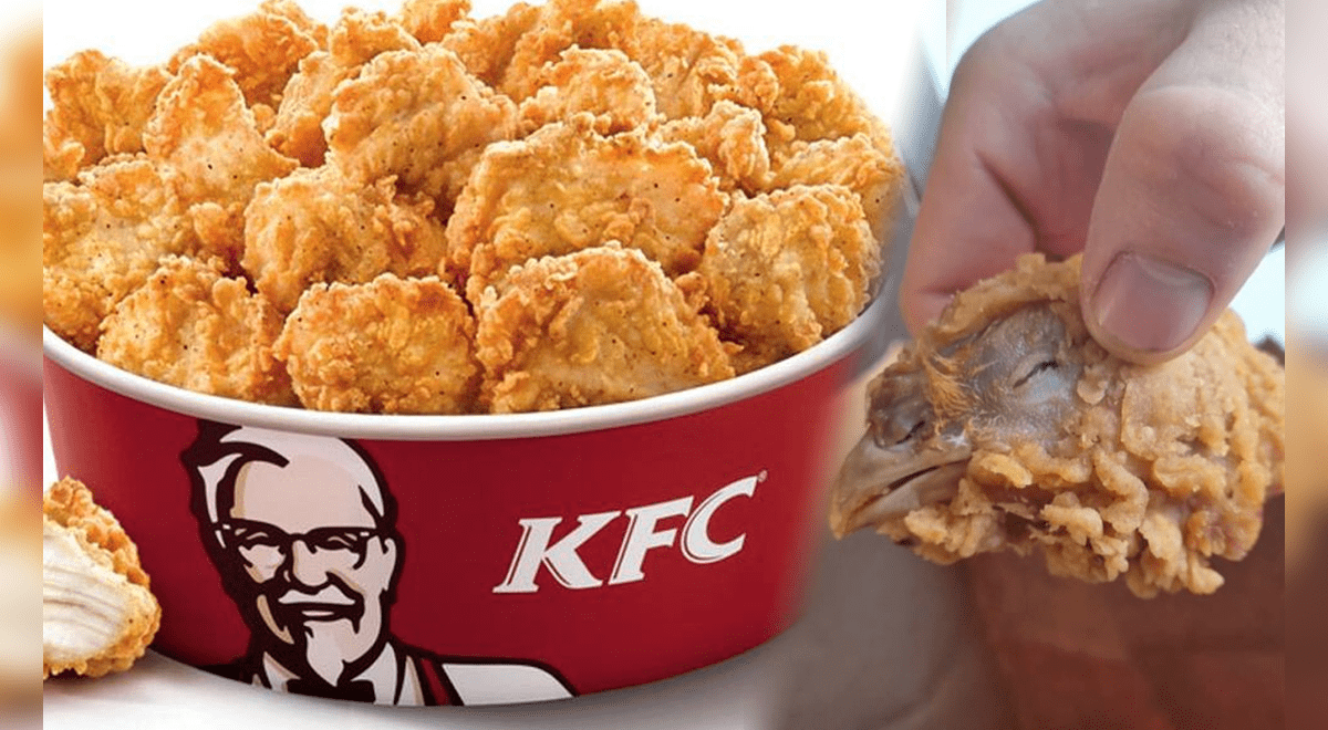 Inglaterra: cliente de KFC encuentra una cabeza de pollo entera en su  pedido | Mundo | La República