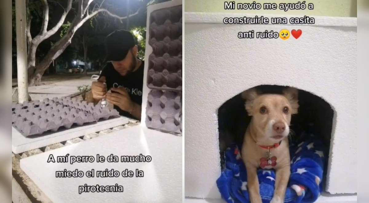 TikTok viral: pareja construye una casa acústica para que su perro no se  estrese por la pirotecnia | Tendencias | La República