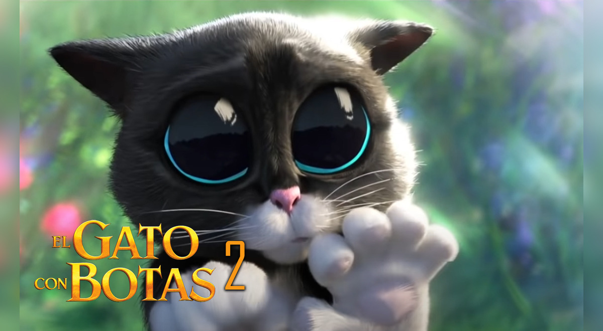 El gato con botas 2 el último deseo: primer tráiler oficial de la película  animada es revelado | Puss in boots, Shrek | Cine y series | La República