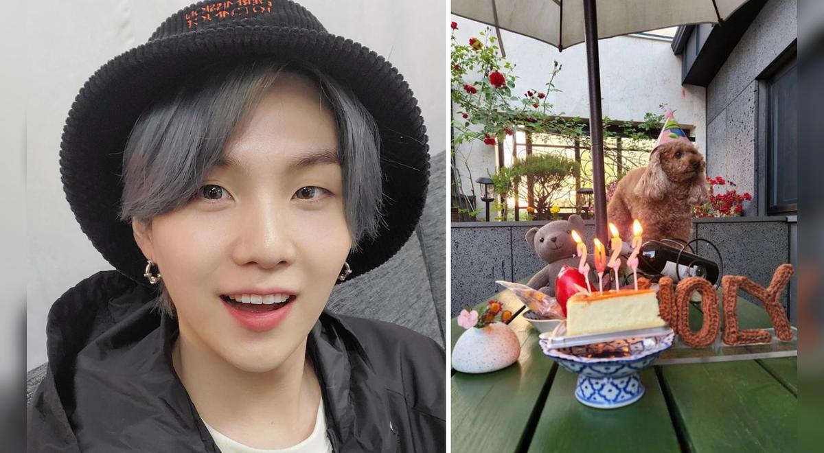 BTS Suga celebró el cumpleaños de su mascota Holly con regalo de ARMY Holy, perro, cómo se