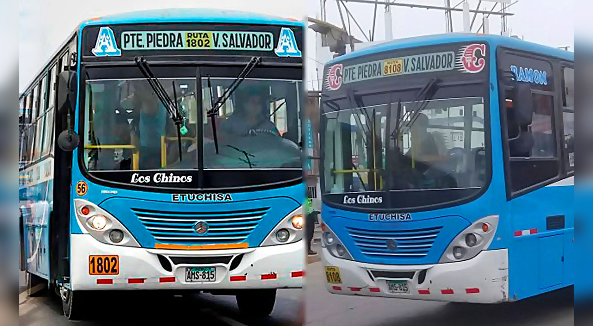 Buses 'Los Chinos': ¿por Qué Se Llama Así La Popular Empresa De ...