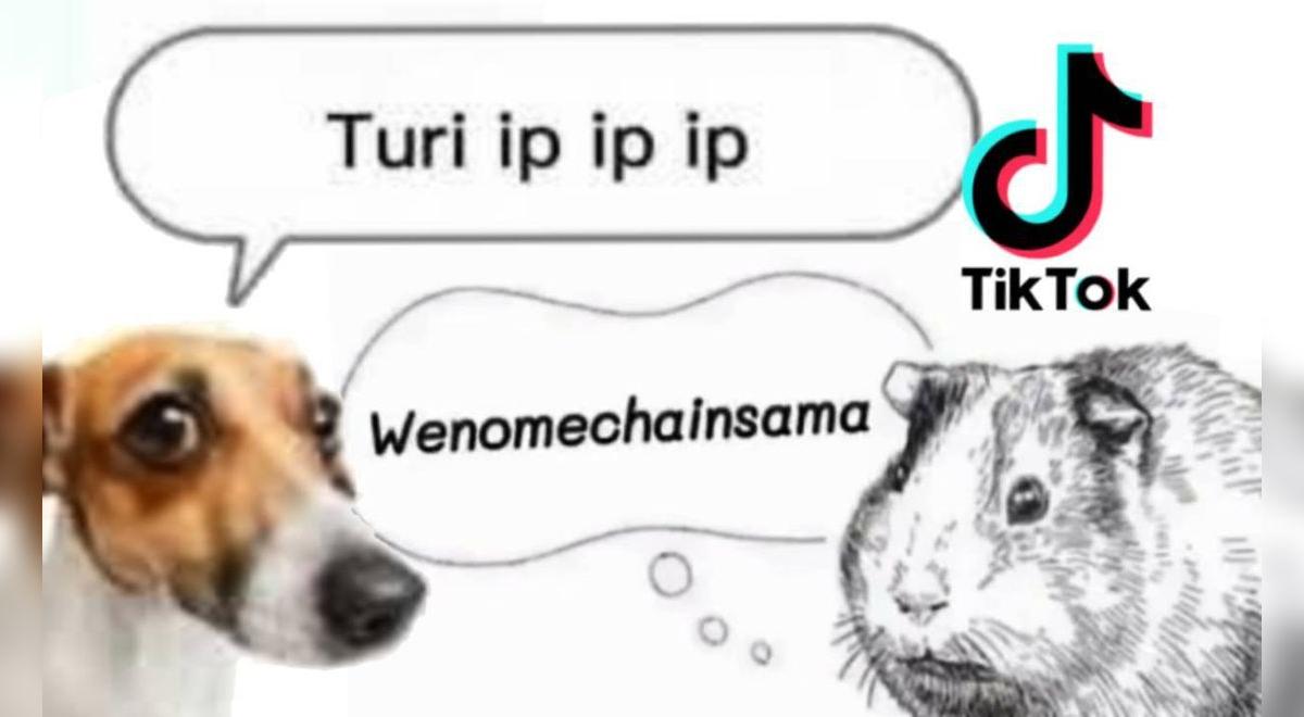TikTok viral: ¿Cómo nació el meme Wenomechainsama y Turi ip ip ip que ...