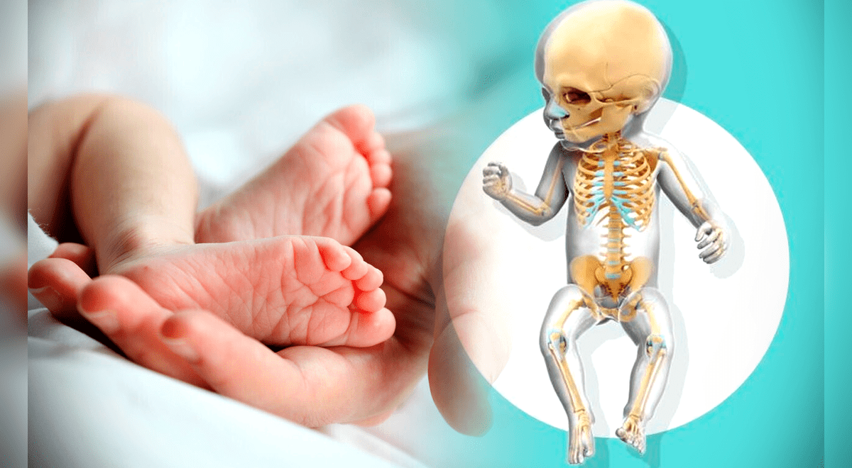 ¿Por qué los bebés tienen más huesos que los adultos?