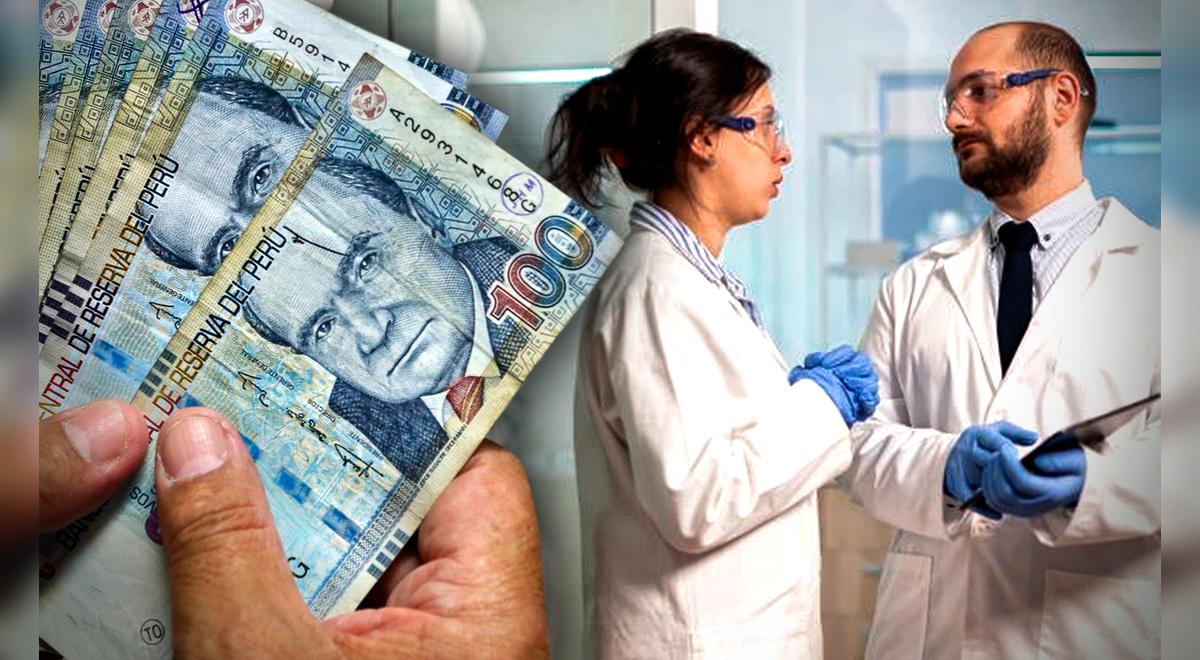 Farmacia: ¿cuando gana un químico farmaceútico y un técnico en farmacia en  Perú? | Boticas | Inkafarma | Mifarma | Boticas Perú | Sociedad | La  República