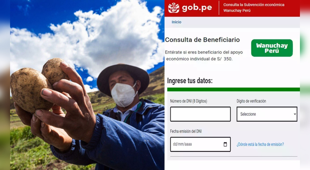 Link, Bono Wanuchay 2023 consulta con DNI si eres beneficiario del