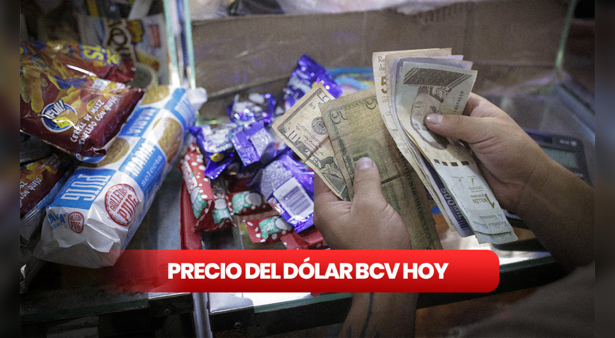 Precio del dólar BCV hoy, lunes 6 de febrero de 2023 tasa oficial del dólar según el Banco
