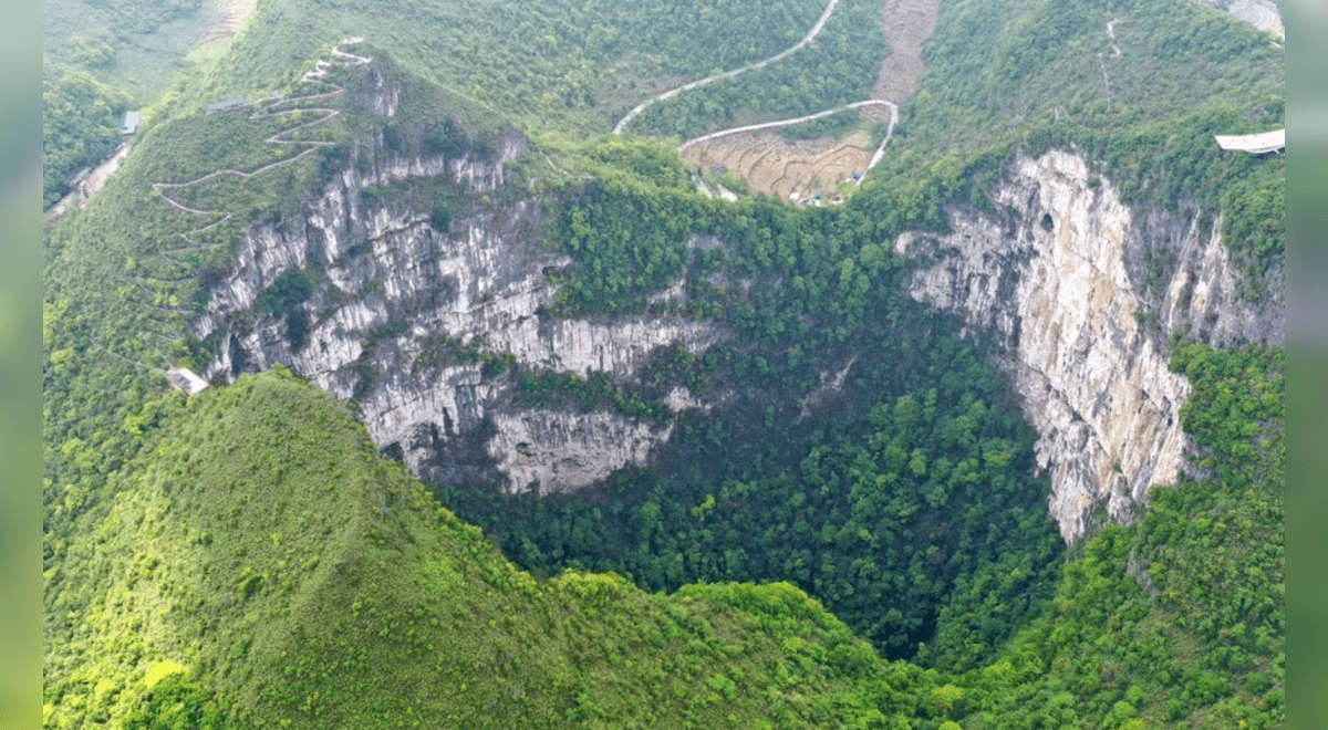 The gigantic forest that is hidden in a hole 192 meters deep in China |  science