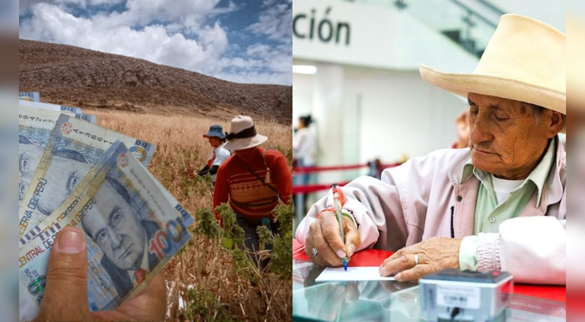 Drought Bonus 2023: what is the official LINK and how to collect this subsidy according to your ID?
