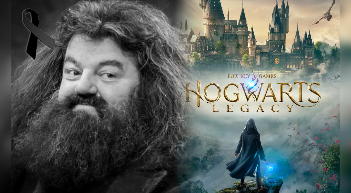 Goodbye forever, 'Hagrid': Hogwarts Legacy pays emotional tribute to ...