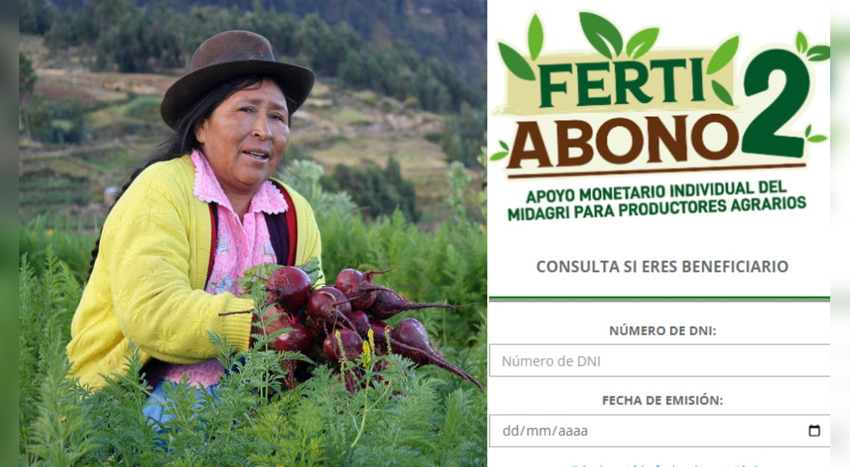 FertiAbono II 2023: what is the payment schedule to collect the subsidy, according to your DNI?