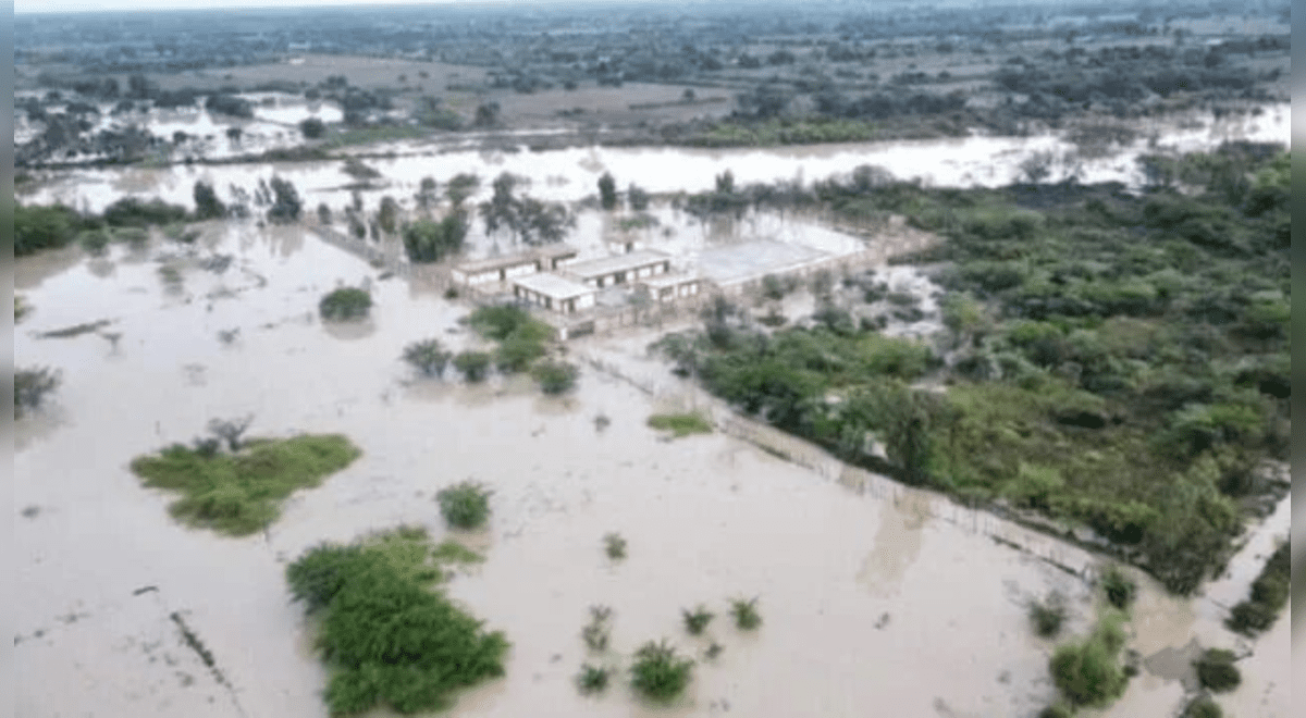 Rains leave losses of S/63 million in Lambayeque export crops