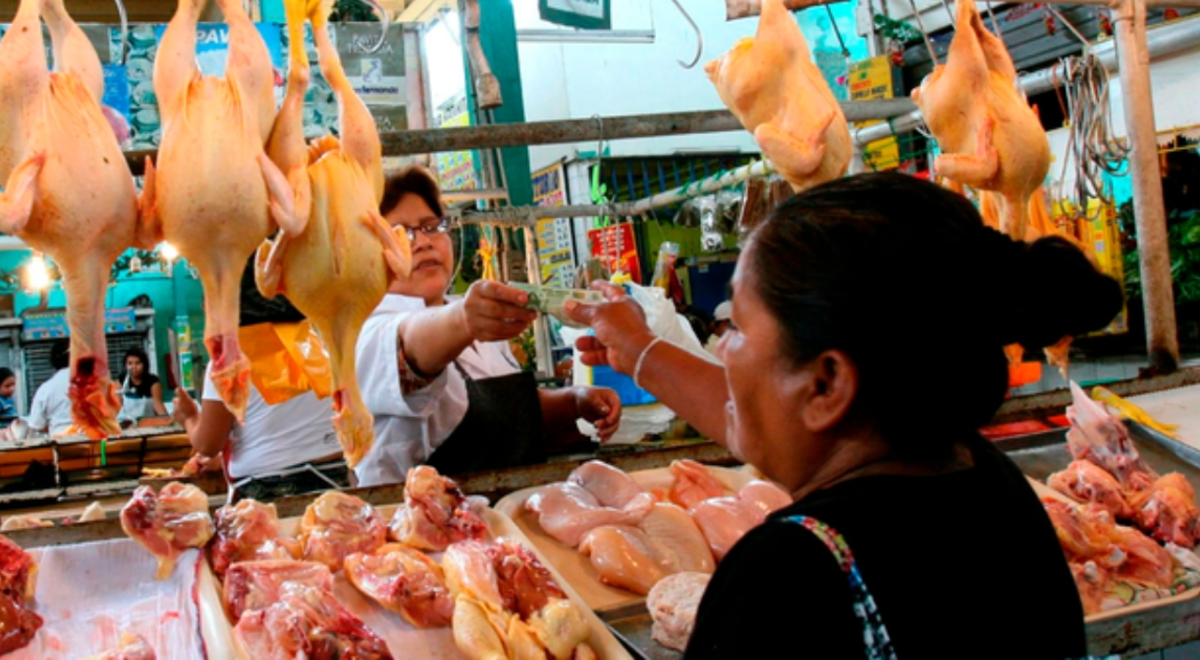Chicken price would fall in June: what factors does a greater decrease depend on?