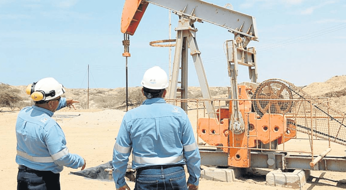 The reprivatization of the Talara lots is launched