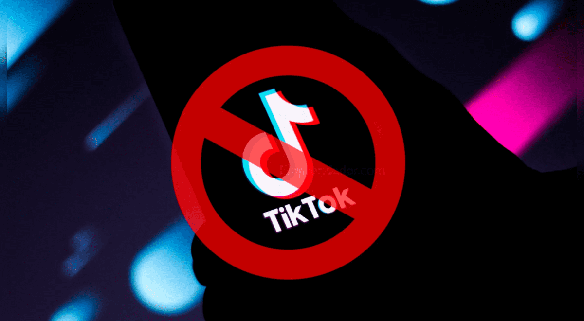 What countries have banned the use of TikTok and why |  social networks |  atmp |  World
