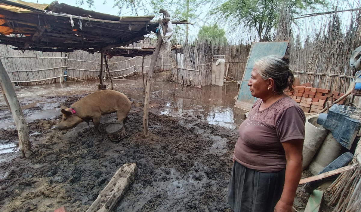 Piura Lluvias En El Norte Decenas De Familias Lidian Con El Abandono