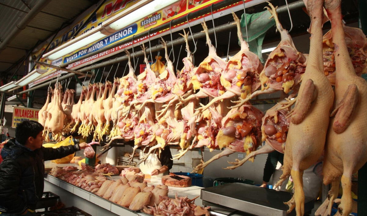 Chicken price continues to fall, but inflation would remain high until 2024