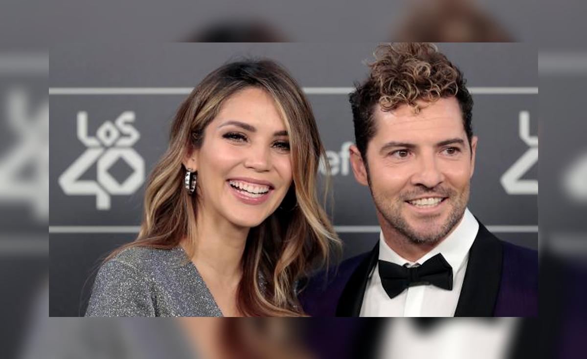 David Bisbal y Rosanna Zanetti anuncian en Instagram que esperan su ...