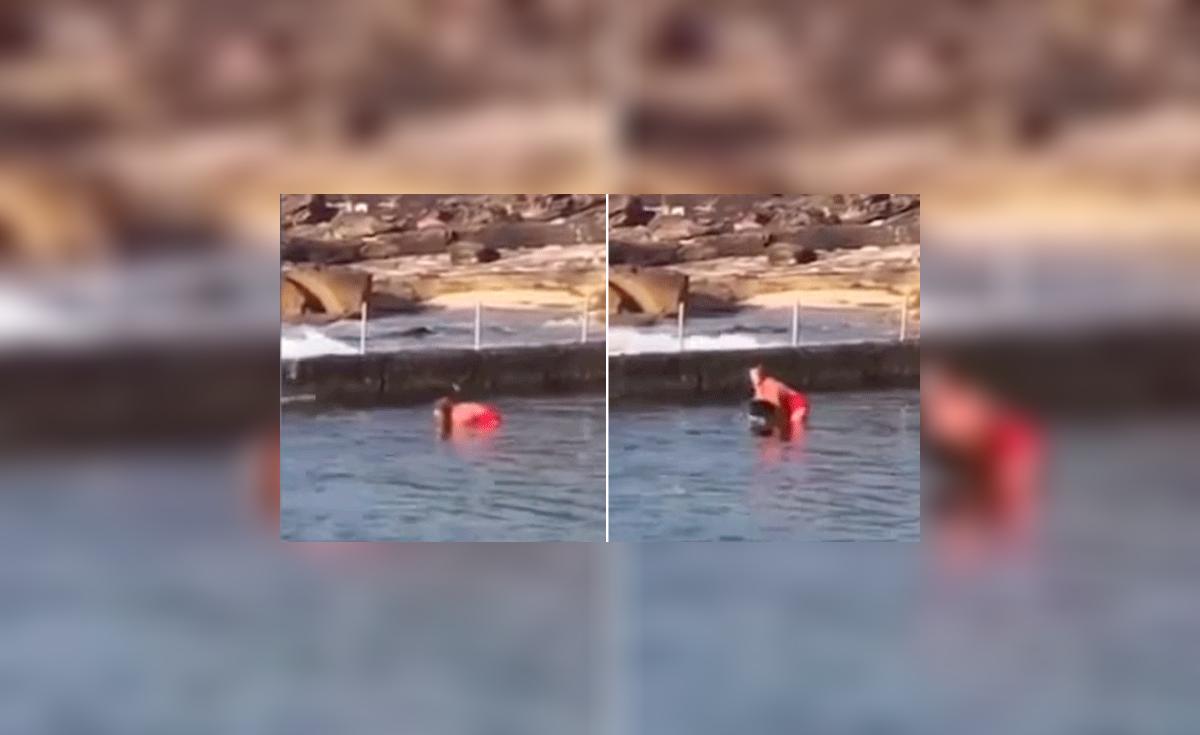 YouTube: Valiente mujer cargó un tiburón en el mar para salvar a su ...