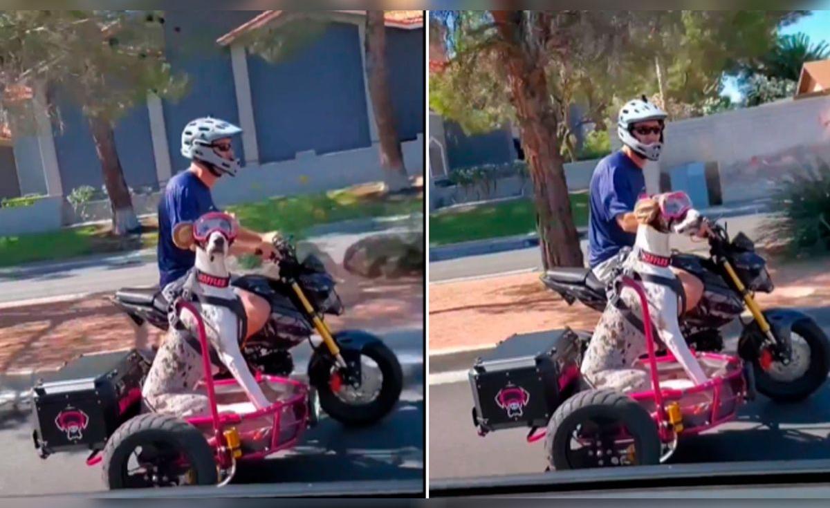 TikTok viral: Hombre pasea con su perrito en moto y el can se gana las ...