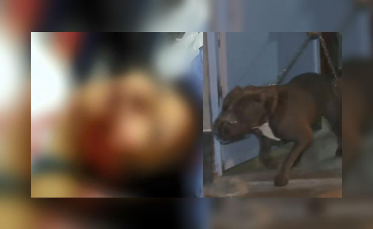 San Juan de Miraflores: Mujer se debate entre la vida y la muerte tras ...