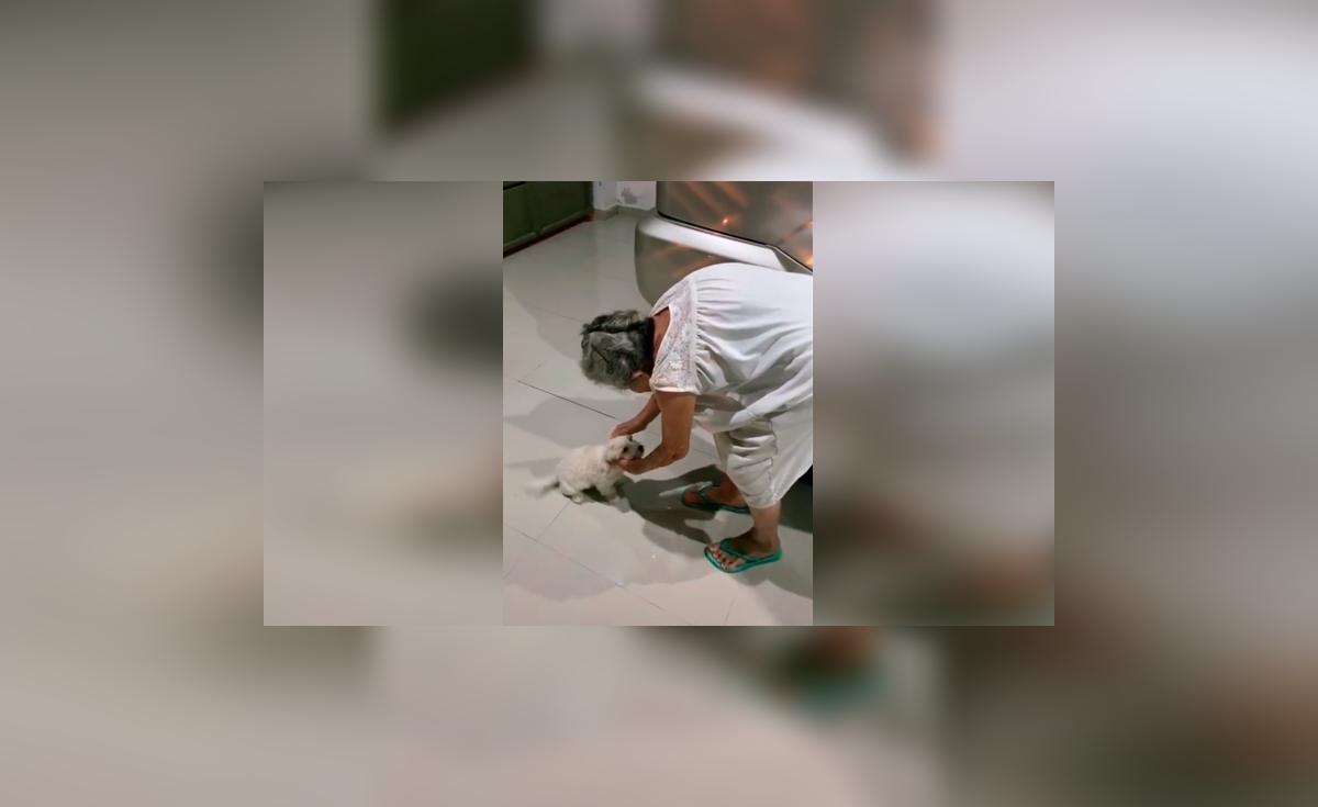 Facebook viral: anciana se despide de su pequeño perro y este tiene ...