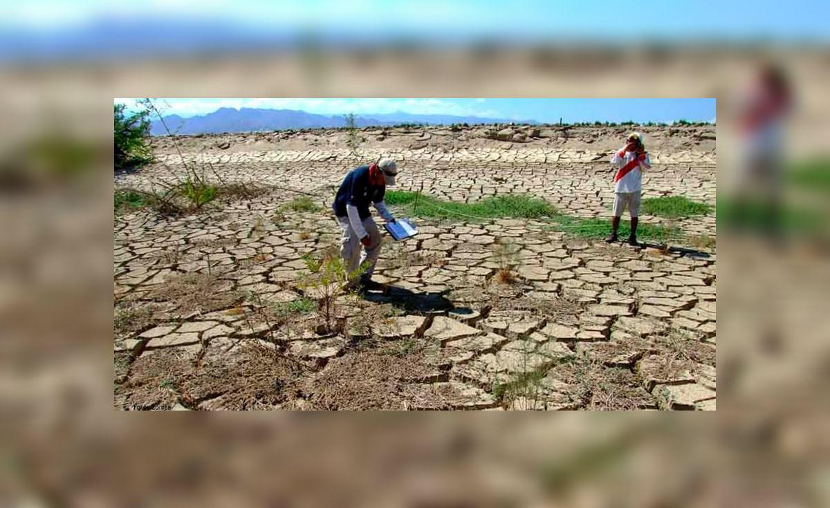 PIURA: 11.000 agricultores en riesgo por falta de agua en el Alto Piura ...