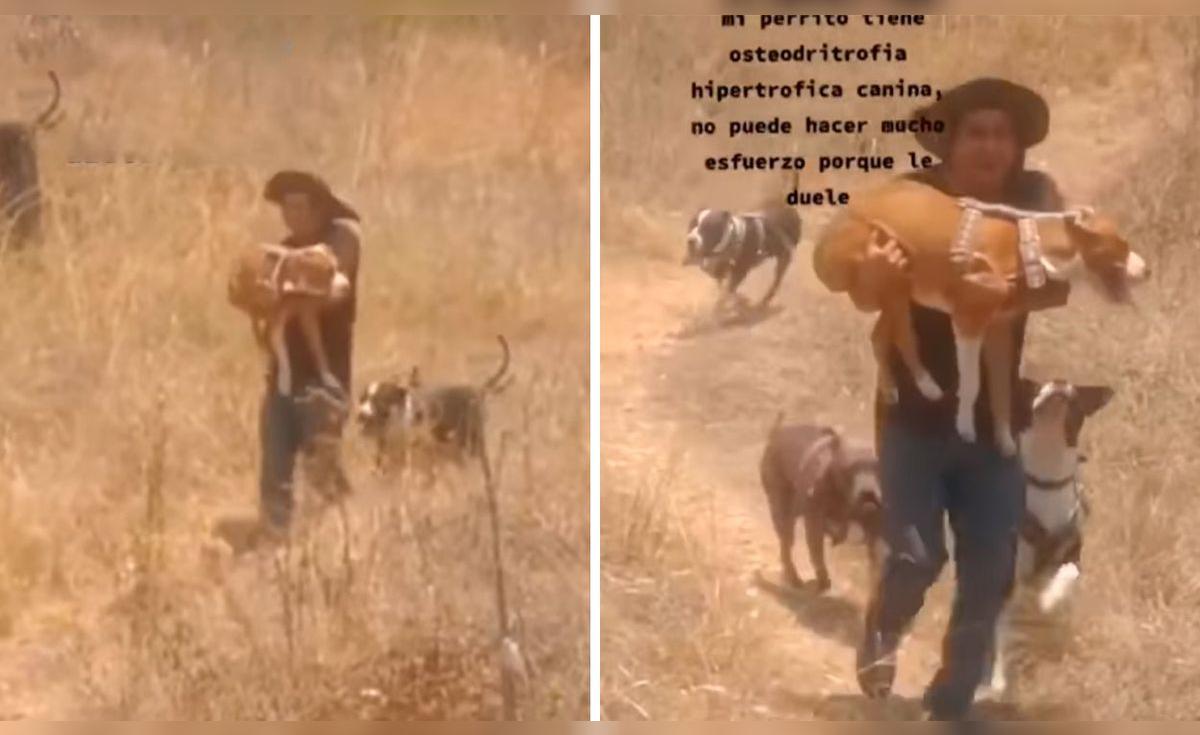 TikTok viral: padre lleva en brazos a su perrito enfermo para que ...