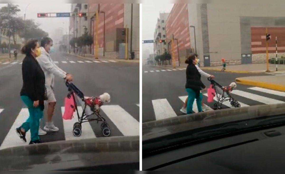 TikTok viral: pareja saca de paseo a su perro en cochecito para bebé en ...