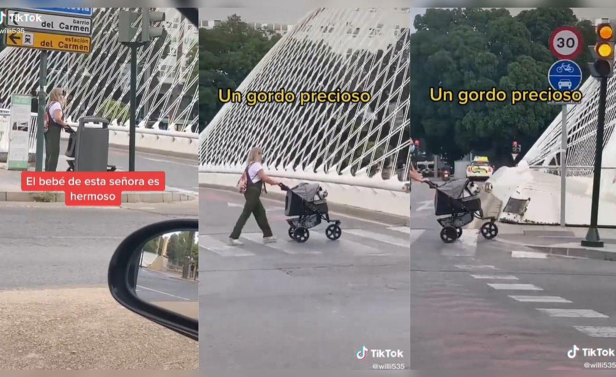 TikTok viral: Mujer lleva a pasear a su perrito en un coche de bebé y ...