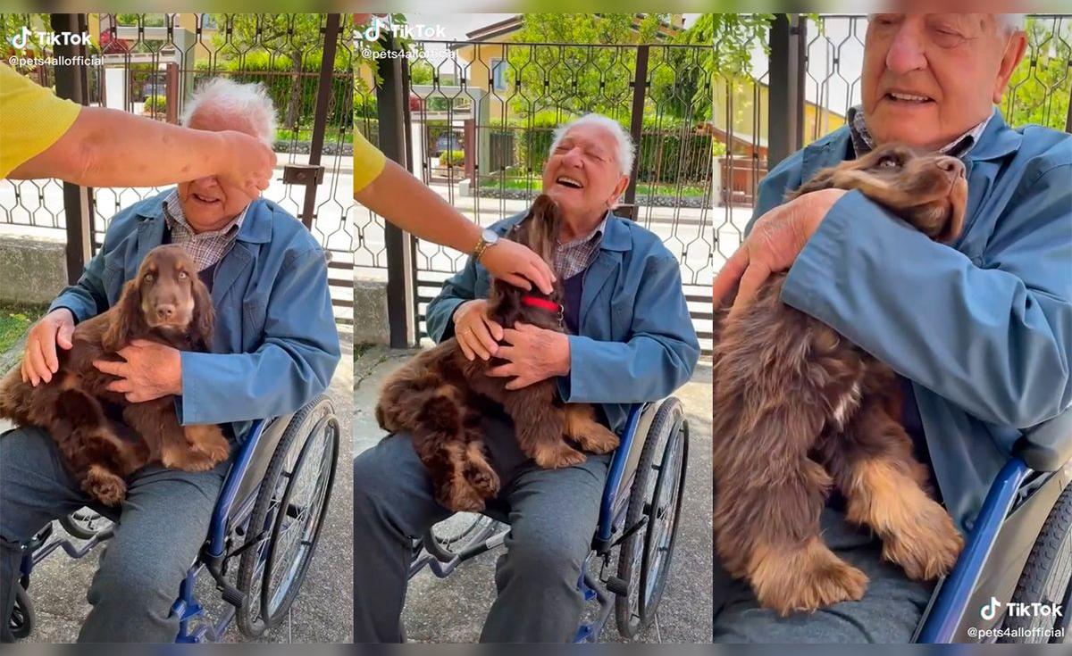 TikTok Viral: Adulto mayor conoce al perrito que adoptaron en su hogar ...