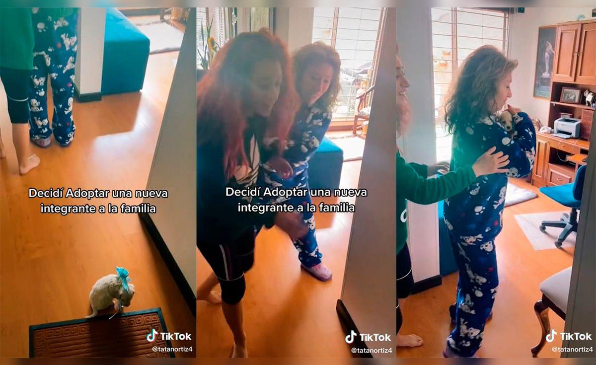 TikTok Viral: Mujer adopta un perrito y su familia se hace viral por ...