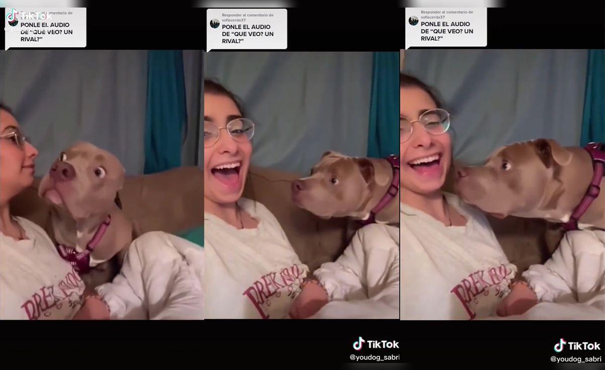 TikTok viral: mujer y su perrito recrean escena de película en un ...