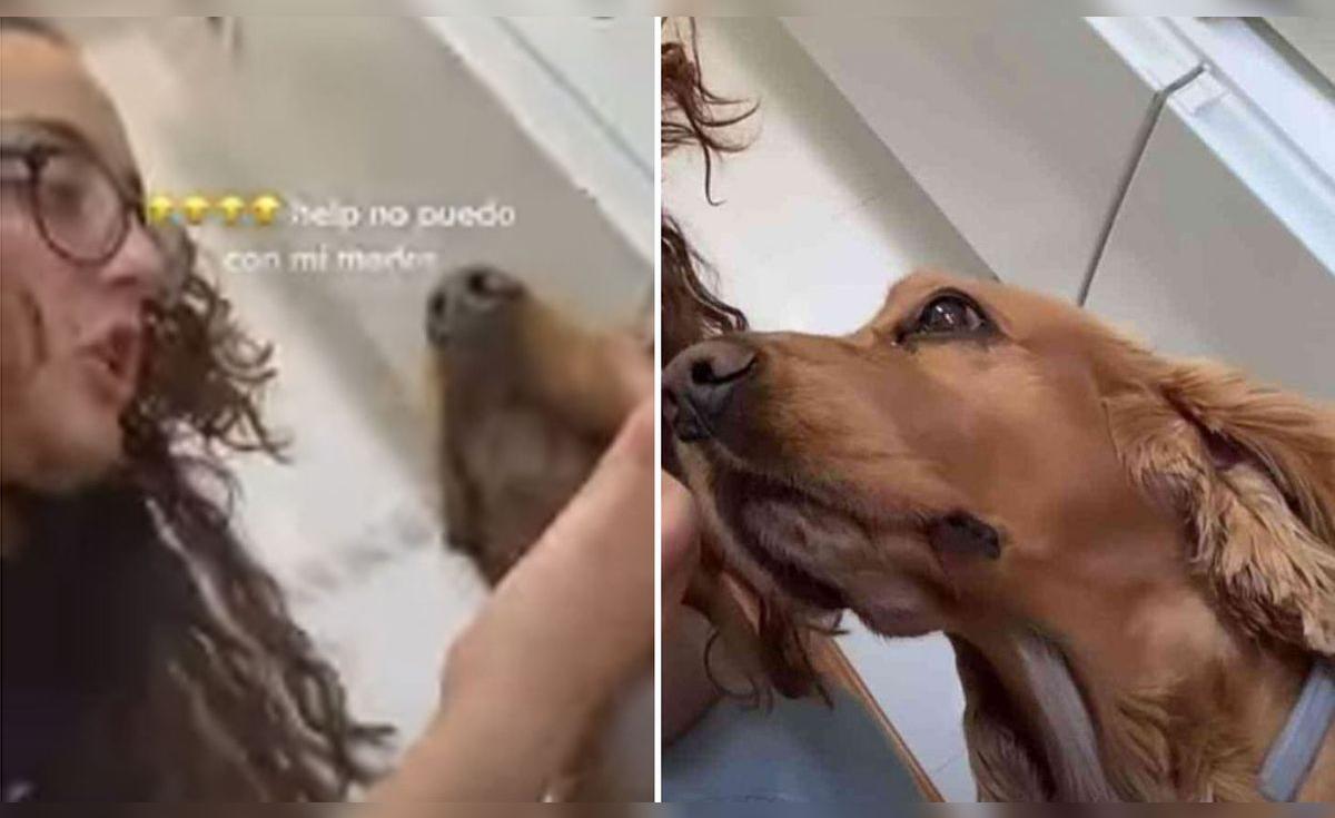 TikTok viral: mujer defiende a su perrito de los regaños de su hija sin ...