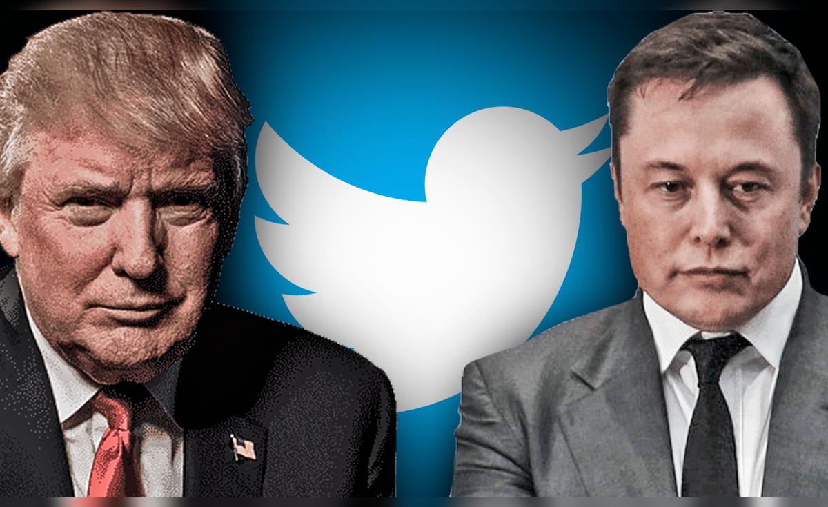 Twitter | Elon Musk | Donald Trump descarta volver a la red social y se ...