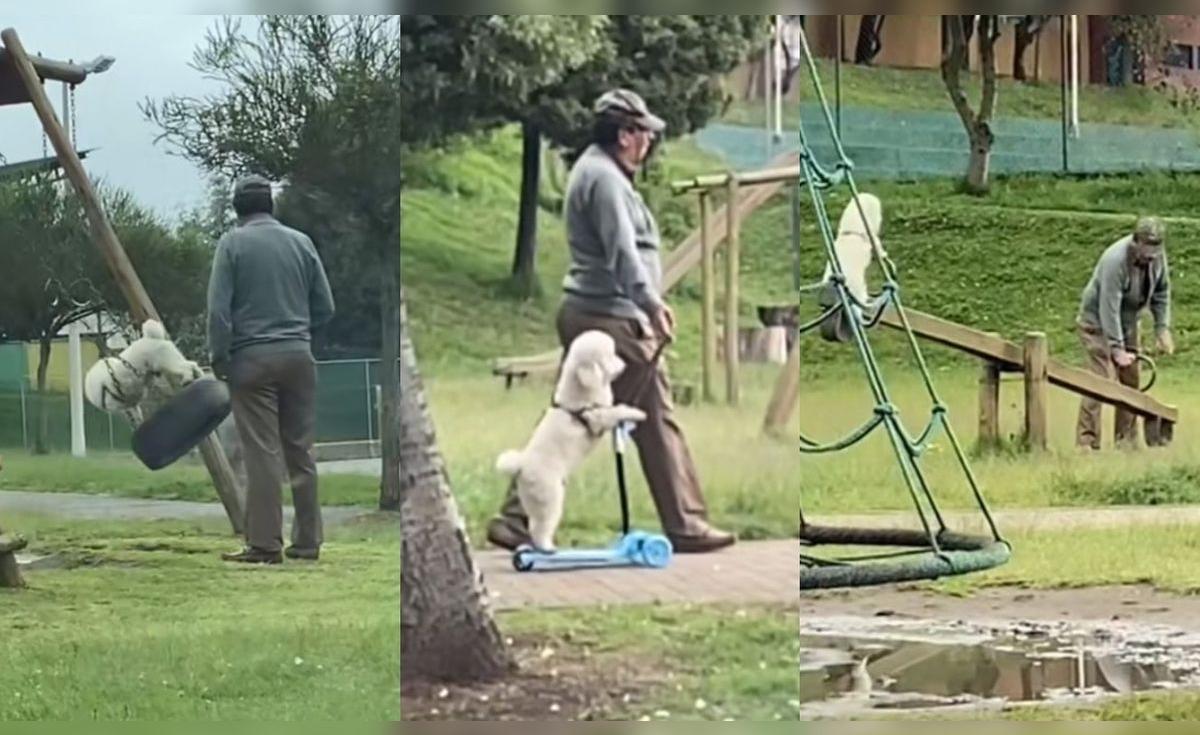 TikTok viral: hombre lleva a su perrito al parque y lo sube a diversos ...